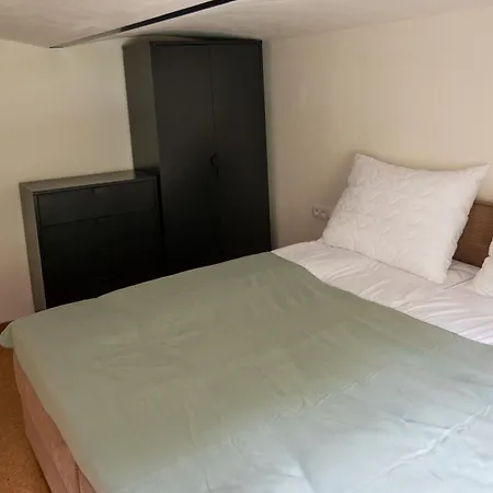 - Lesni Brana Apartment Josefuv Dul